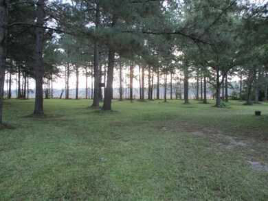8364 Hodges Rd, Pavo, GA 31778 - photo 3