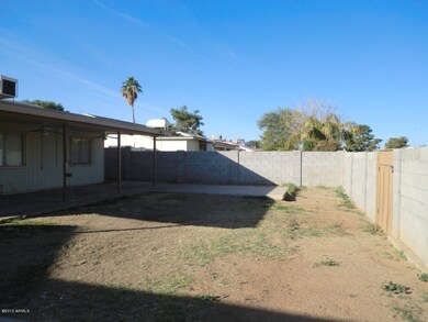 BIG BACK YARD