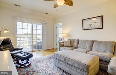 900 Marshy Cove, Cambridge, MD 21613 - photo 7