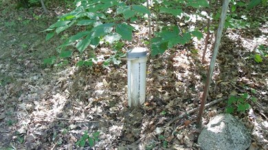 GEDC9222