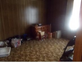 den area