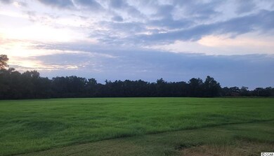 TBD Highway 931, Conway, SC 29526 - photo 4