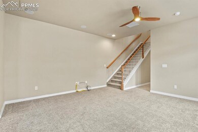 Brand new carpet throughout