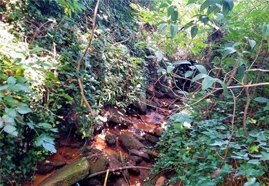 Babbling Creek on Tract between 1112 and 1128 N As