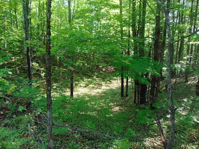 TBD 1 Alston Rd, Laird Township, MI 49958 - photo 3