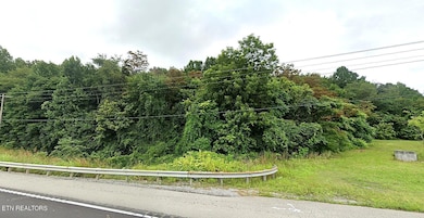 RIGHT SIDE START OF LOT