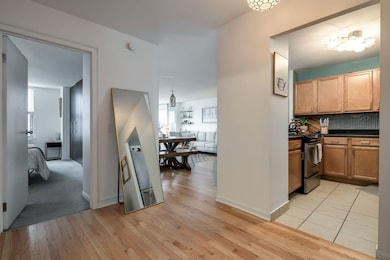 Hawthorne Place unit 1608, Chicago, IL 60657 - photo 4