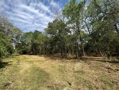 0 Cr 849, Brazoria, TX 77422 - photo 2