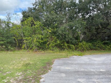 0 SE 97th Ct unit MFROM714505, Summerfield, FL 34491 - photo 6