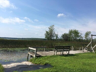 IMG_2342