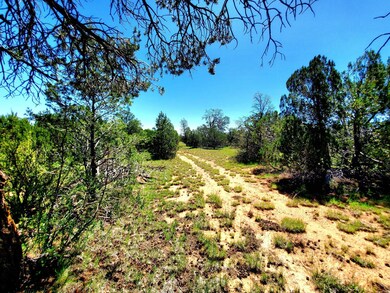 8571 Haven Crest Dr, Blue Ridge, AZ 86024 - photo 7