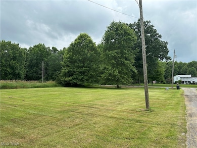 3123 S Duck Creek Rd, North Jackson, OH 44451 - photo 4