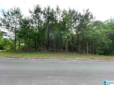 6434 Cambridge Rd unit LOT 30, Pinson, AL 35126 - photo 4