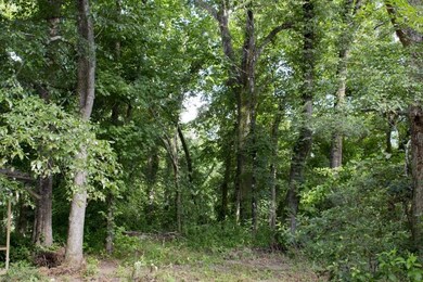 202-acres-in-greene-coun-4