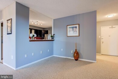 Skyline Plaza unit 116N, Baileys Crossroads, VA 22041 - photo 5