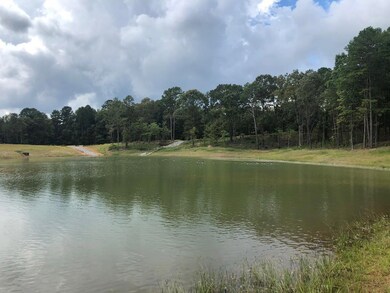 439 Live Oak Dr, Oxford, MS 38655 - photo 5