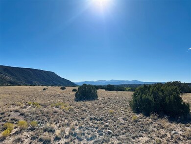 LOT 4 TBD US Hwy 285, Ojo Caliente, NM 87549 - photo 6