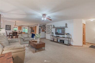 20805 114th Ave E, Graham, WA 98338 - photo 4