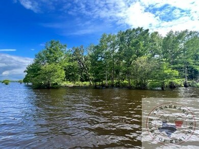 000 S Eagle's Way Llc, Bradley, AR 71845 - photo 4