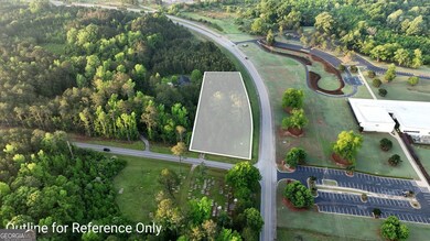 Sandtown Road Unit: 1 2+ - Acre, West Point, GA 31833 - photo 4