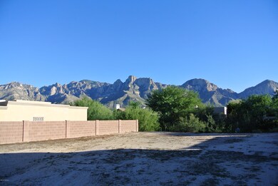 Lot w/ Mnt Vie