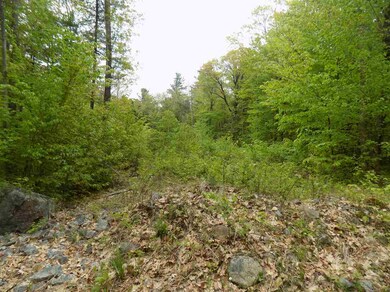 451 Bailey Rd, Washington, NH 03280 - photo 3