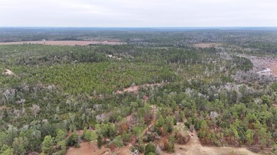 Vacant Joshua Rd, Marianna, FL 32448 - photo 4