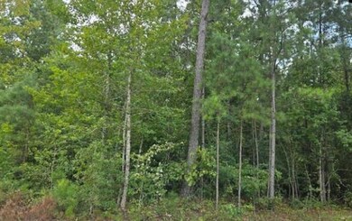 Lot N1 Old Edgefield Rd, Ninety Six, SC 29666 - photo 4