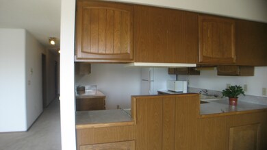 317 3rd Ave S unit 101, Edmonds, WA 98020 - photo 7