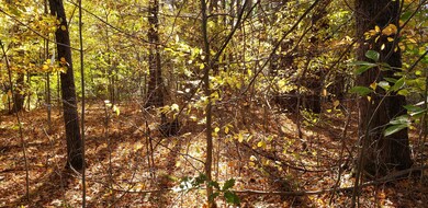 195 Blackberry Hill Rd unit Lot 4, Berwick, ME 03901 - photo 6