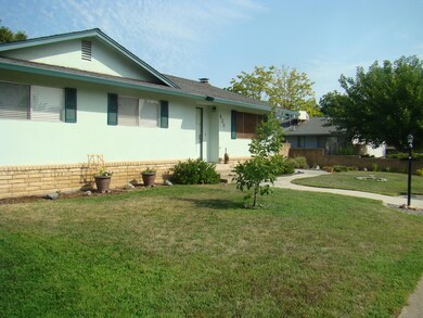 Front of yard