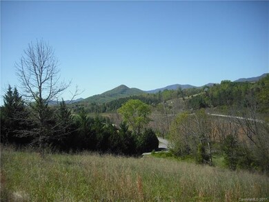 2 Timber Hill Dr unit LOT 1, Leicester, NC 28748 - photo 5