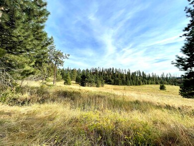 1617 S D 395 Hwy, Chewelah, WA 99109 - photo 5