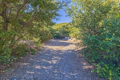 35925 Mountain Circle Dr unit 37, Julian, CA 92036 - photo 6