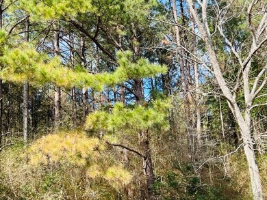 0 Beard Boyd Rd, Tylertown, MS 39667 - photo 6