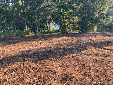 Lot 1 Sunshine Rd, Andalusia, AL 36421 - photo 7