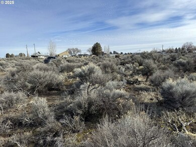 0 Aspen unit 20800, Christmasvalley, OR 97641 - photo 3