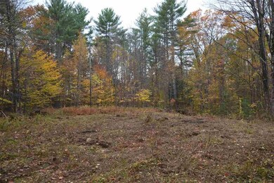 0 Bridle Rd unit 19, Antrim, NH 03440 - photo 5