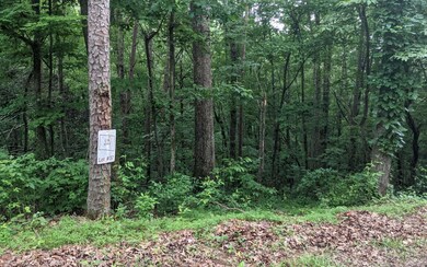 0 Lot 37 Timberwalk Dr unit 307814, Ellijay, GA 30540 - photo 2