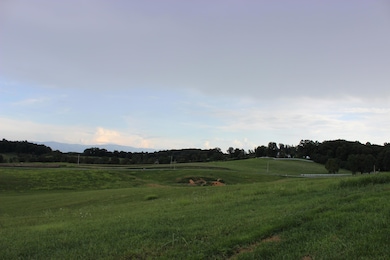 IMG_8580