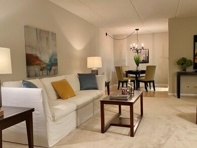 1623 Ashland Ave unit 2B, Des Plaines, IL 60016 - photo 4