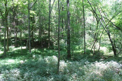 ANOTHER WOODED AREA WHERE YOU COULD PROBABLY FIND THE HARD WOOD