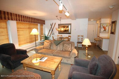 718 S Mill St unit 12, Aspen, CO 81611 - photo 4