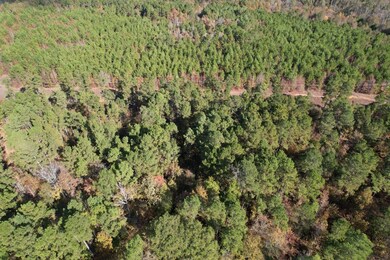 Tbd Fm 1650, Gilmer, TX 75645 - photo 6