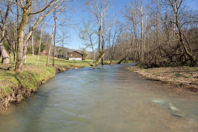 4106 Hurricane Creek Rd, Linden, TN 37096 - photo 3