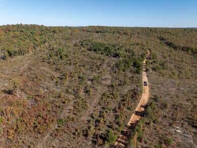 000 Schales Rd, Poughkeepsie, AR 72569 - photo 3