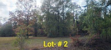 00 Louisiana 134 unit Lot 2, Collinston, LA 71229 - photo 2