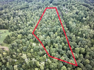 Lot 5 Reservoir View Dr, Pittsville, VA 24139 - photo 4