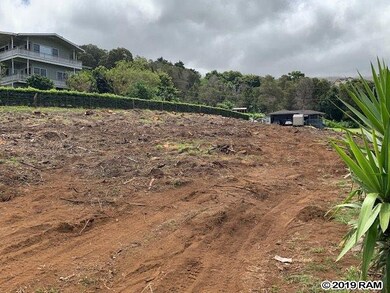 23 Upu Place, Kula, HI 96790 - photo 4