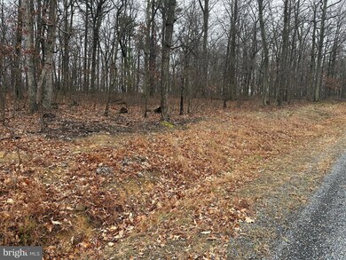 0 Doman Ridge Rd unit WVHS2007072, Romney, WV 26757 - photo 4